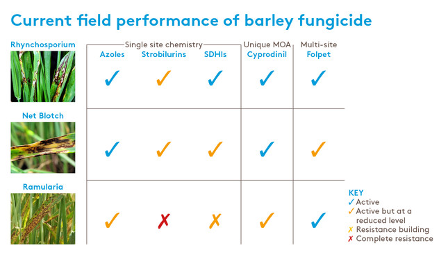 Barley fungicide field performance Barley fungicide field performance